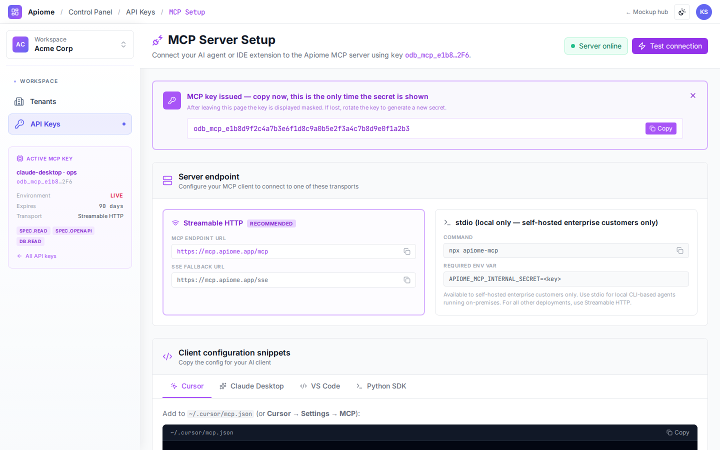 API Keys — MCP setup