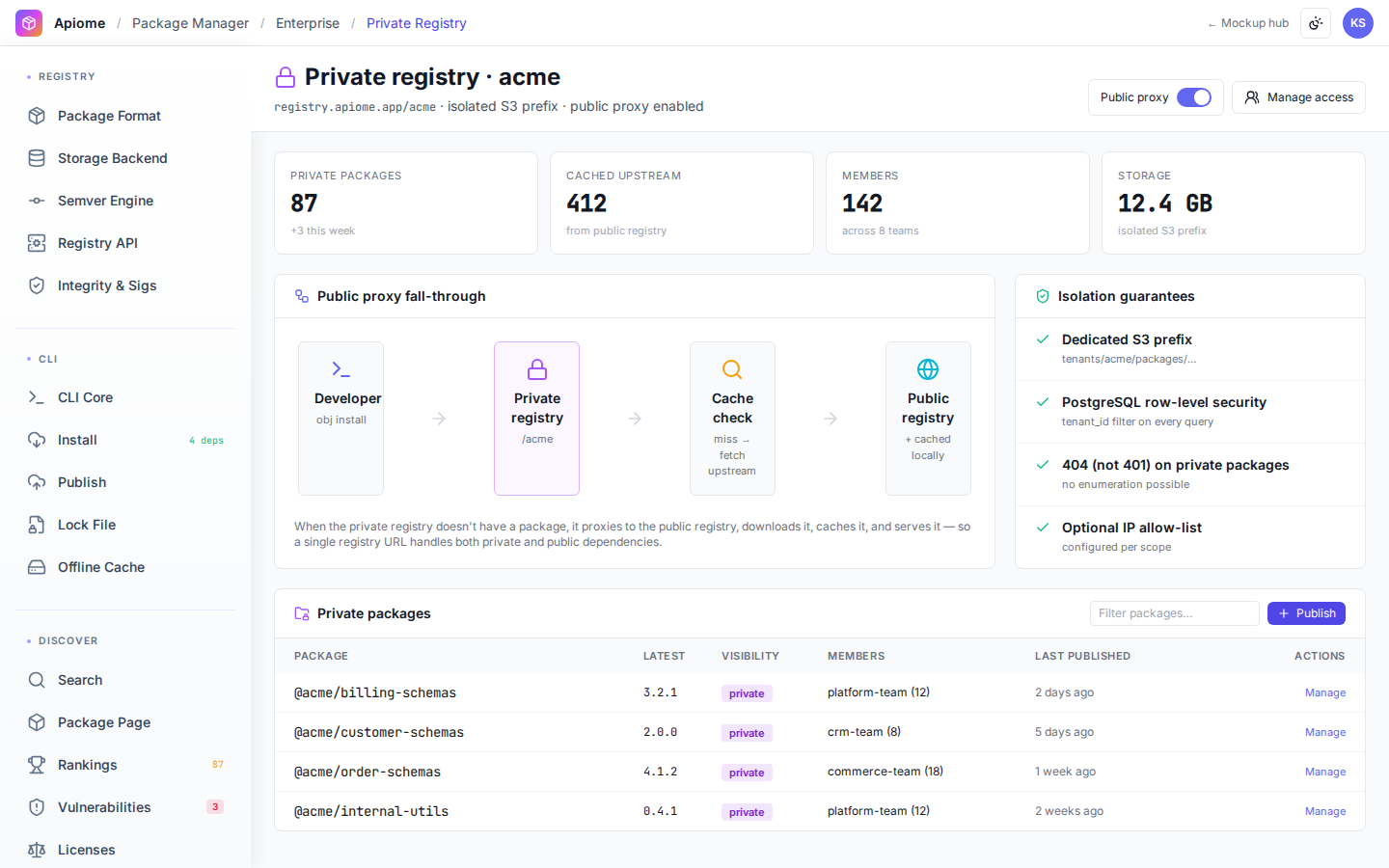 Package Manager — Private registry